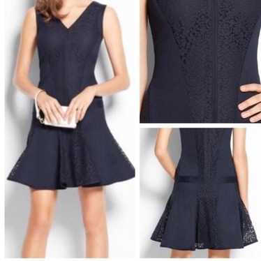 Ann Taylor lace panel drop waist dress