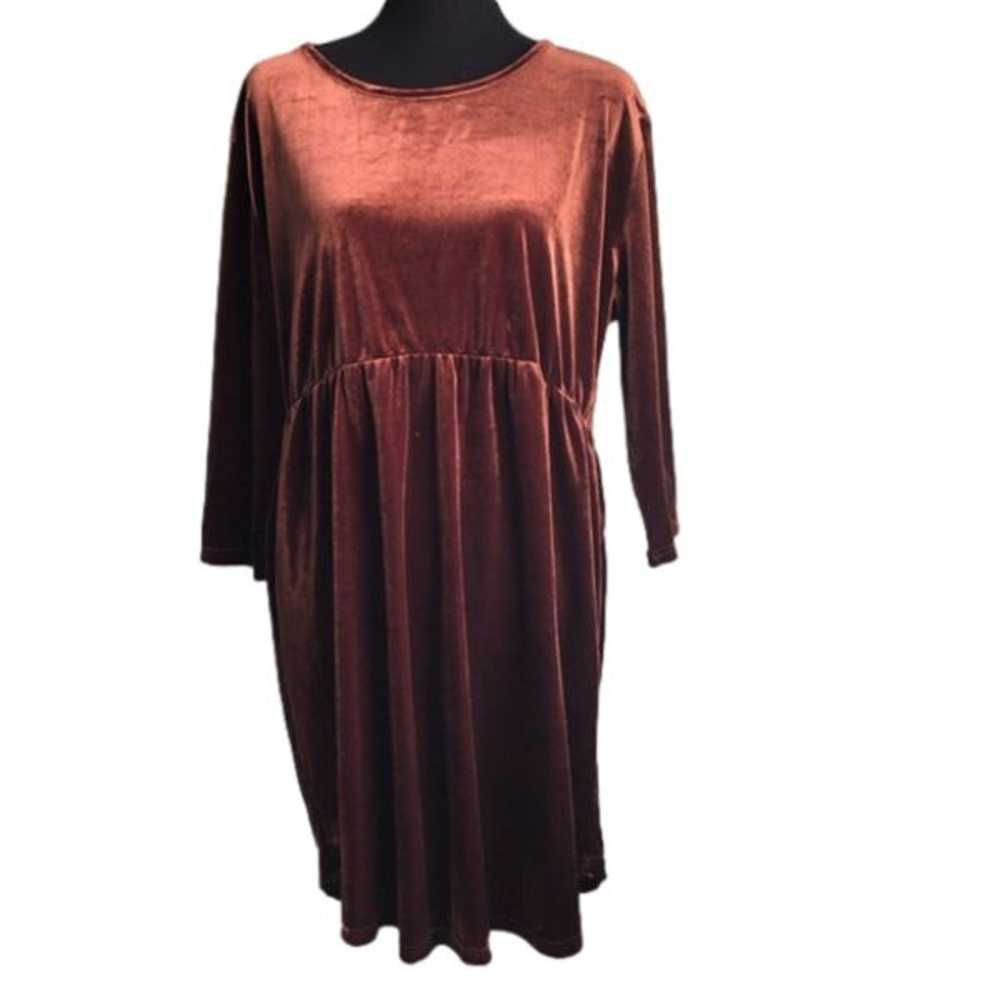 Brown / Bronze Velvet Long Sleeve Dress Amaryllis… - image 2