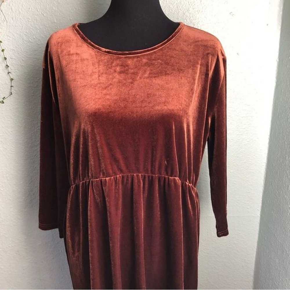 Brown / Bronze Velvet Long Sleeve Dress Amaryllis… - image 3