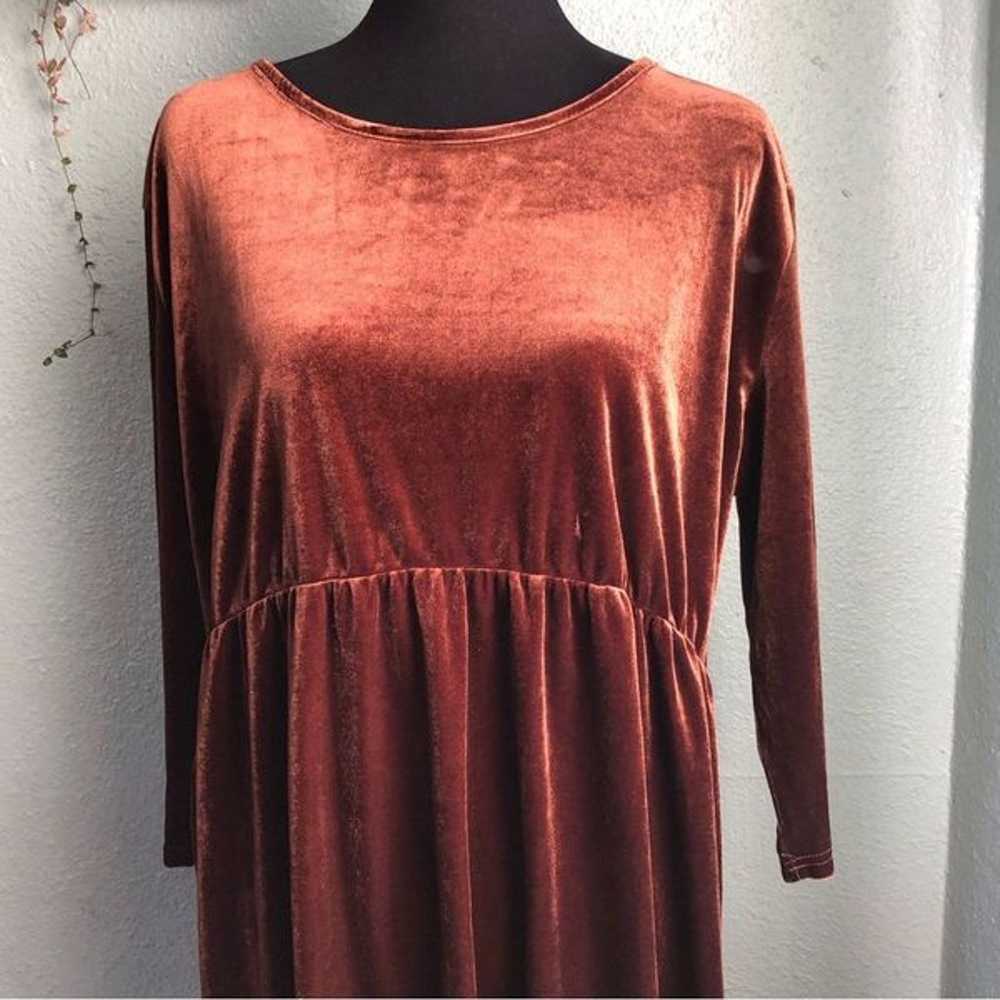 Brown / Bronze Velvet Long Sleeve Dress Amaryllis… - image 9