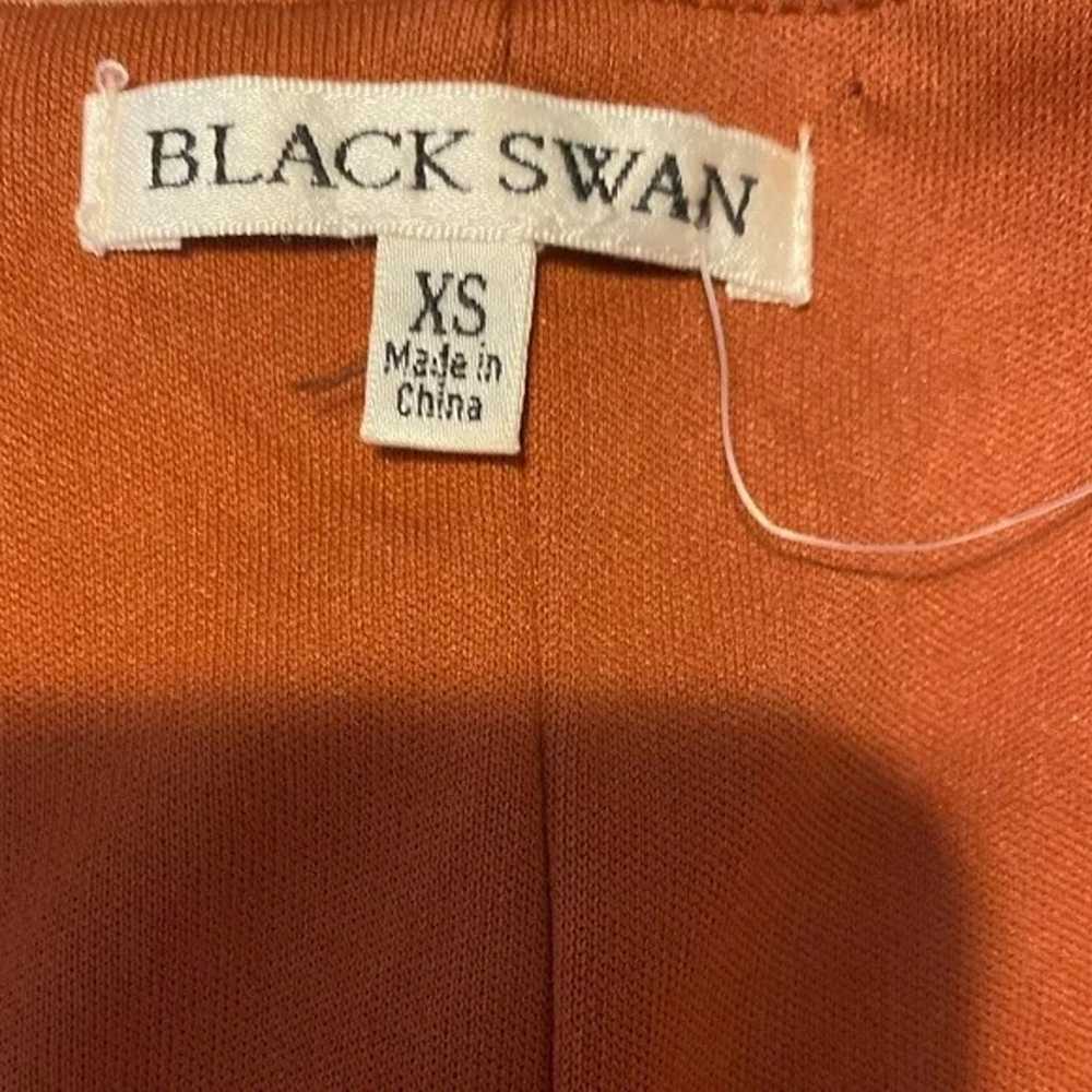 Black Swan rust colored velvet feel mini dress si… - image 5