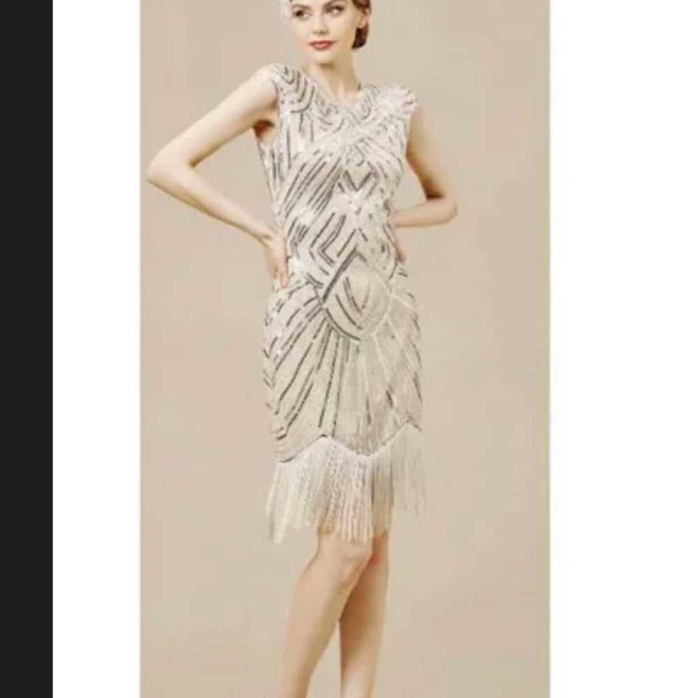 Babeyond Dress Flapper Sequin Fringe Custom 1920’… - image 1