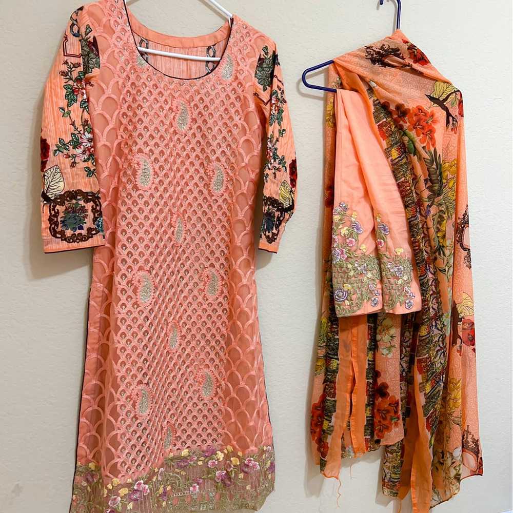 Indian Pakistani dress - image 1