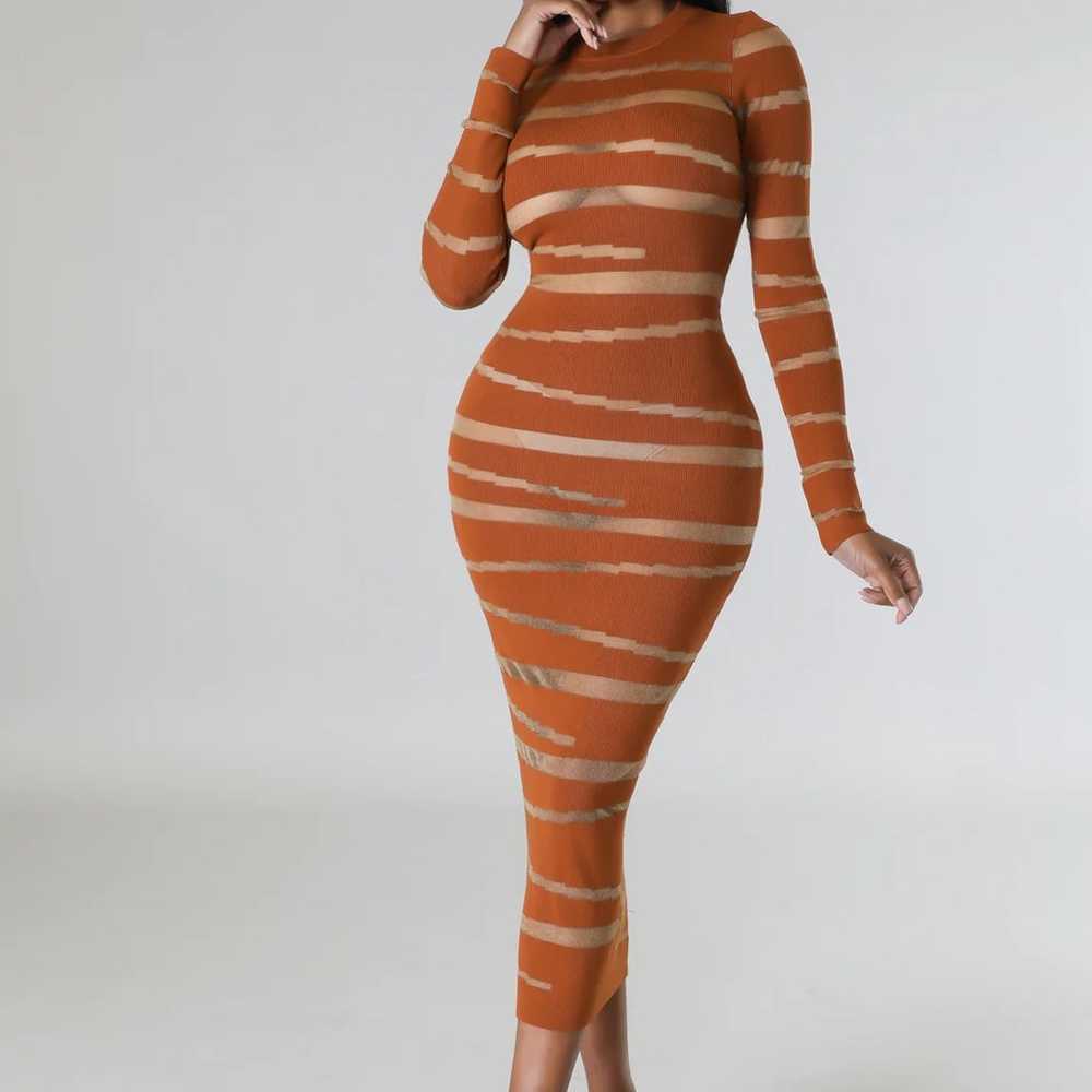 Brick Sheer Mesh Body-con Dress - image 1