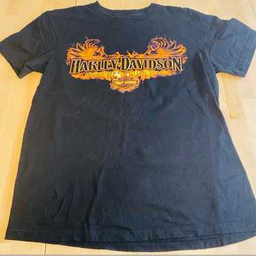 Harley Davidson 2010 Flame Fire Cape Fear Fayette… - image 1