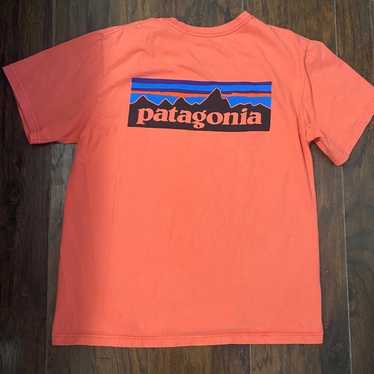 Patagonia Shirt (size: M)