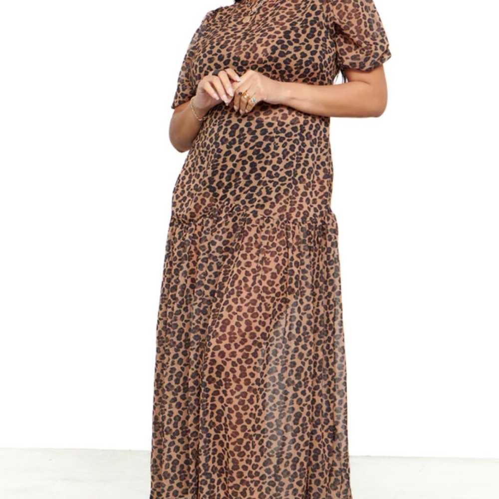 Never Fully Dressed Leopard sheer dress - image 3