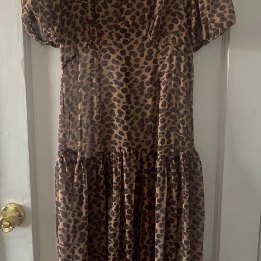 Never Fully Dressed Leopard sheer dress - image 4