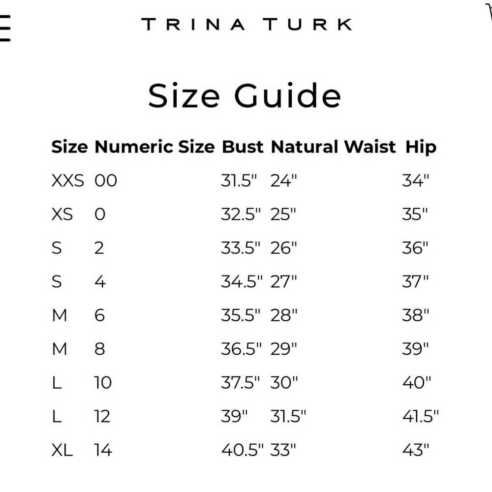 TRINA TURK MADE IN USA Mini Dress Size 2 One Shou… - image 11