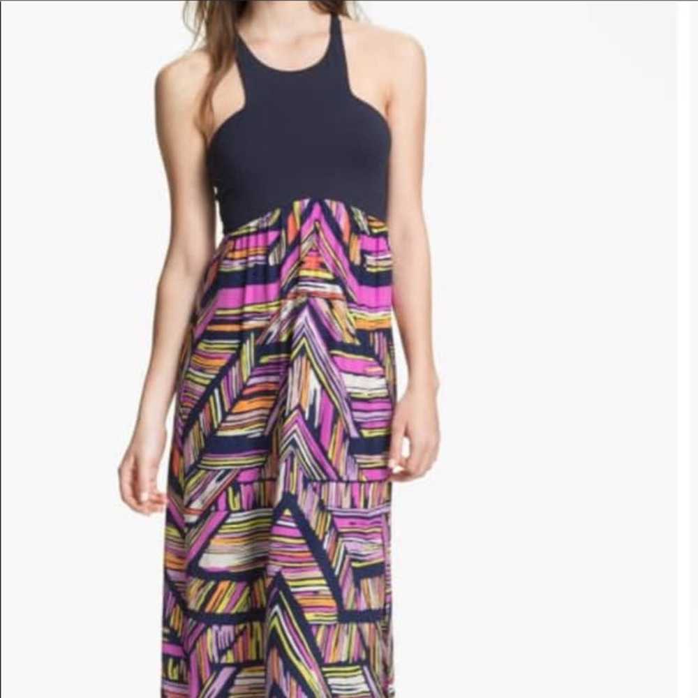 Alice and Trixie Maxi Dress - image 1