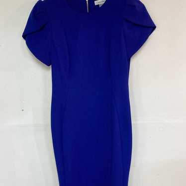 Calvin Klein Dark blue/purple Navy dress