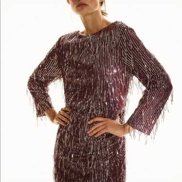 Zara Fringed Sequin Dress