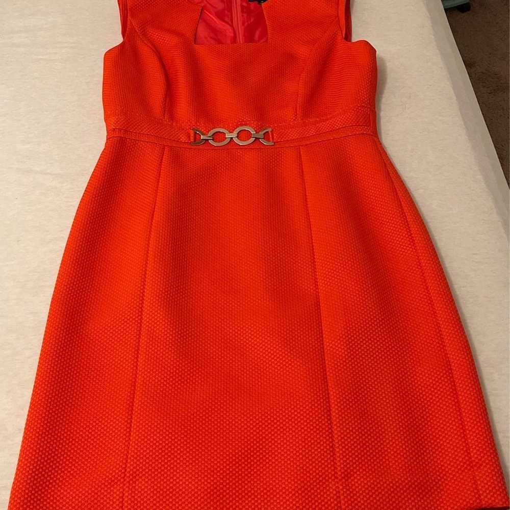Work Dress Orange Size 12 - Brand New - image 3