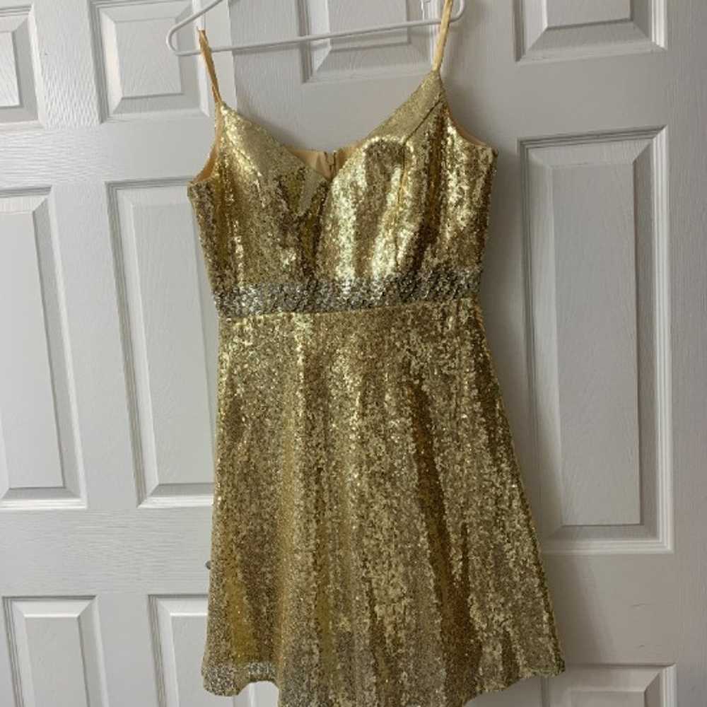 Homecoming/Prom Dress - image 1