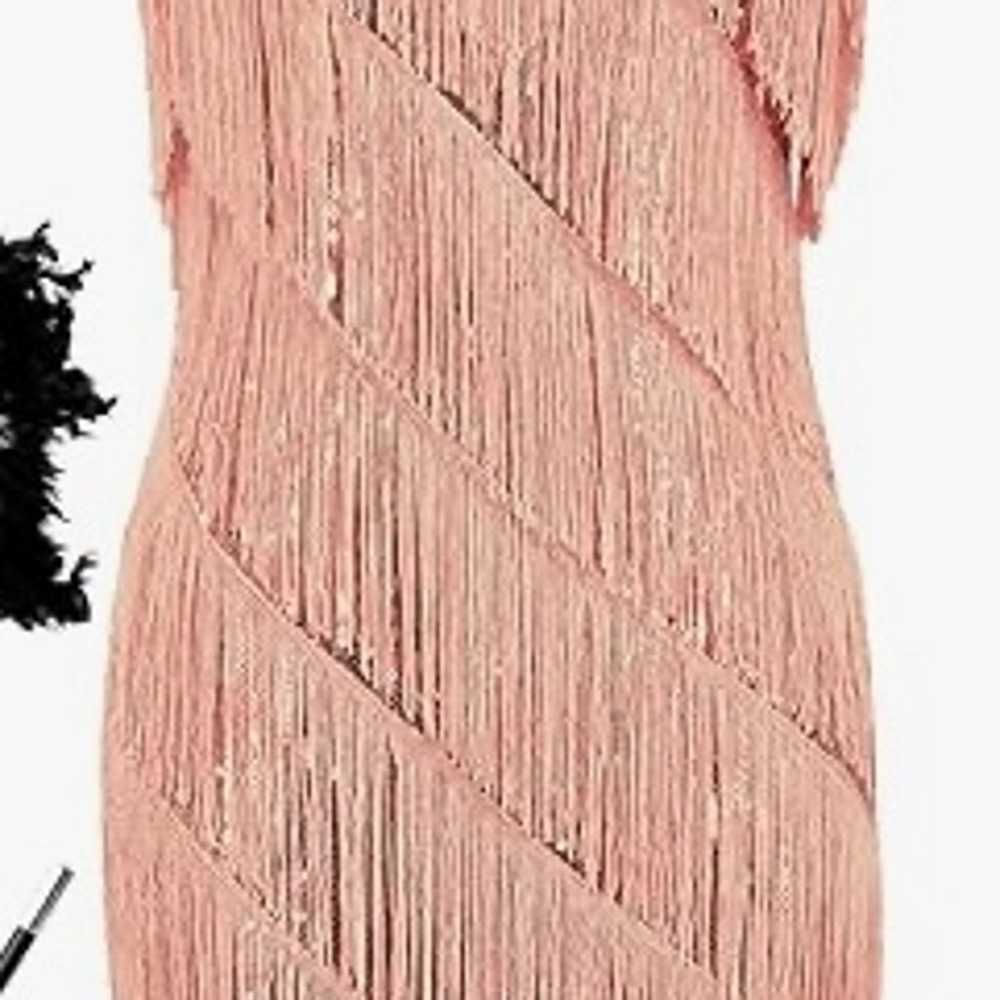 Fringe Flapper Dress - image 1