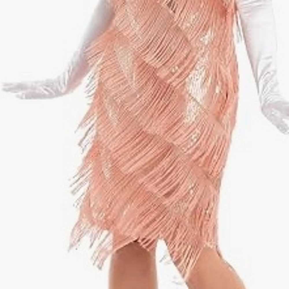 Fringe Flapper Dress - image 2