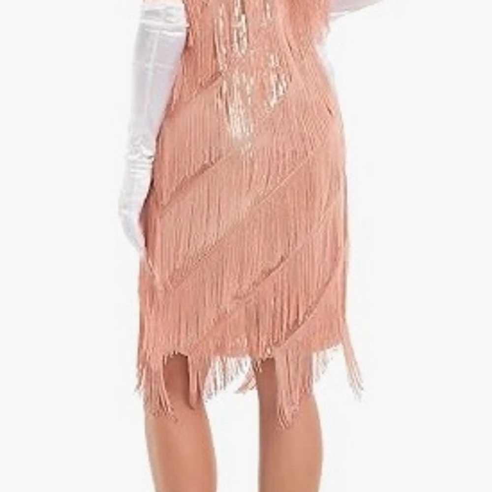 Fringe Flapper Dress - image 3