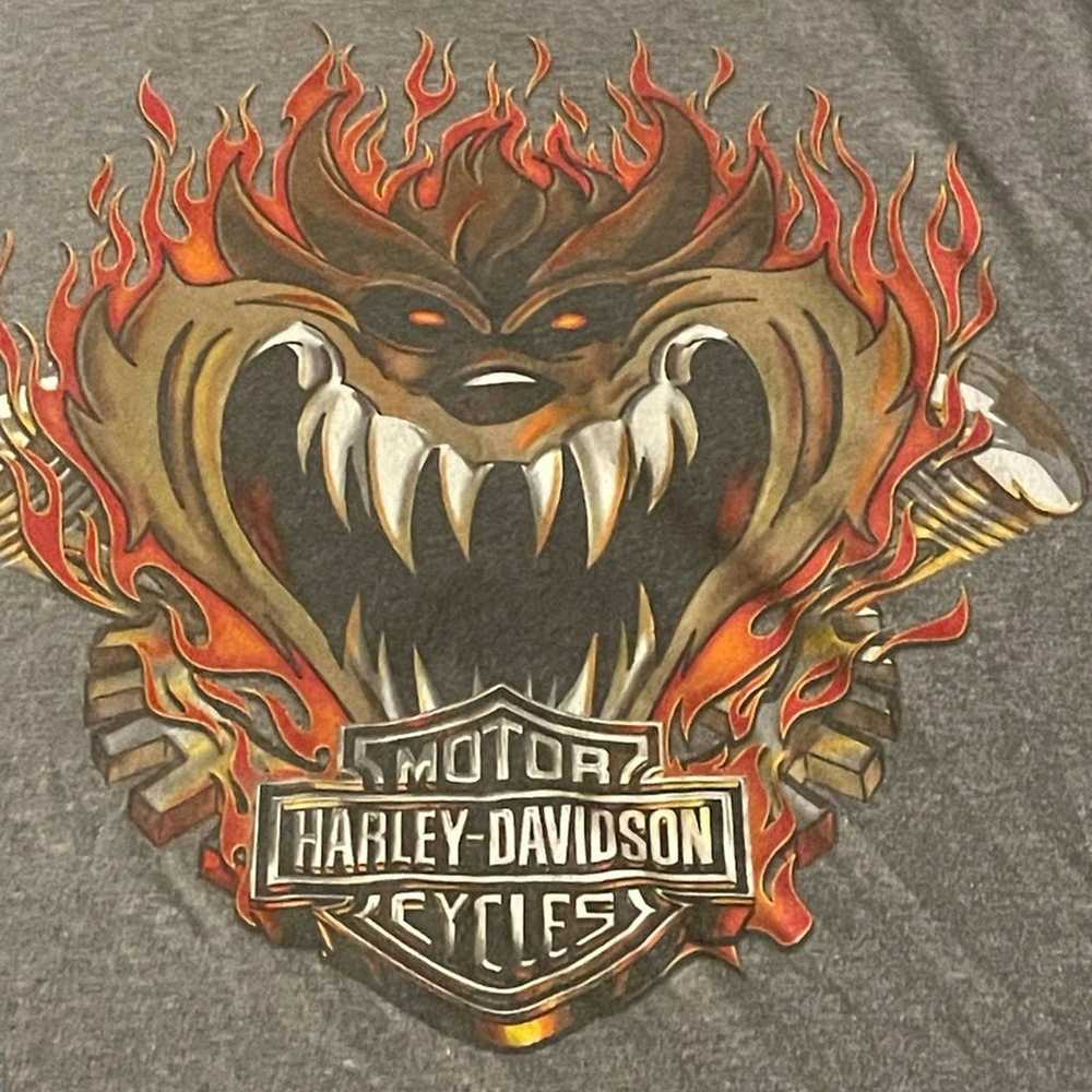 Harley Davidson Taz Tasmanian Devil Looney Tunes … - image 5