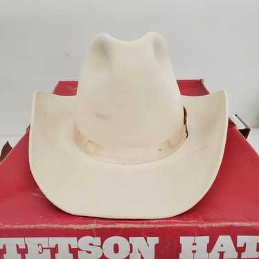 Stetson Hats Cowboy Hat - image 1