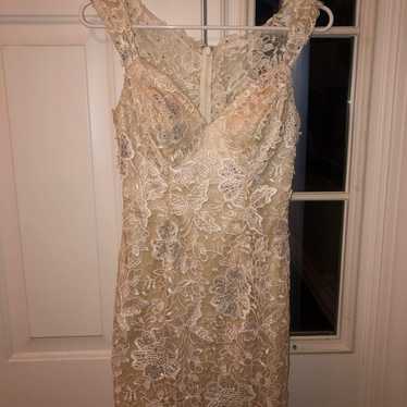 ivory lacey coctail fitted dress - image 1