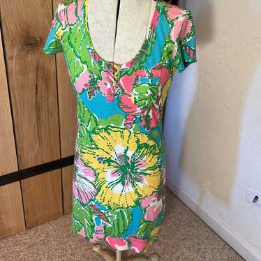 Lilly Pulitzer Britton dress big flirt - image 1