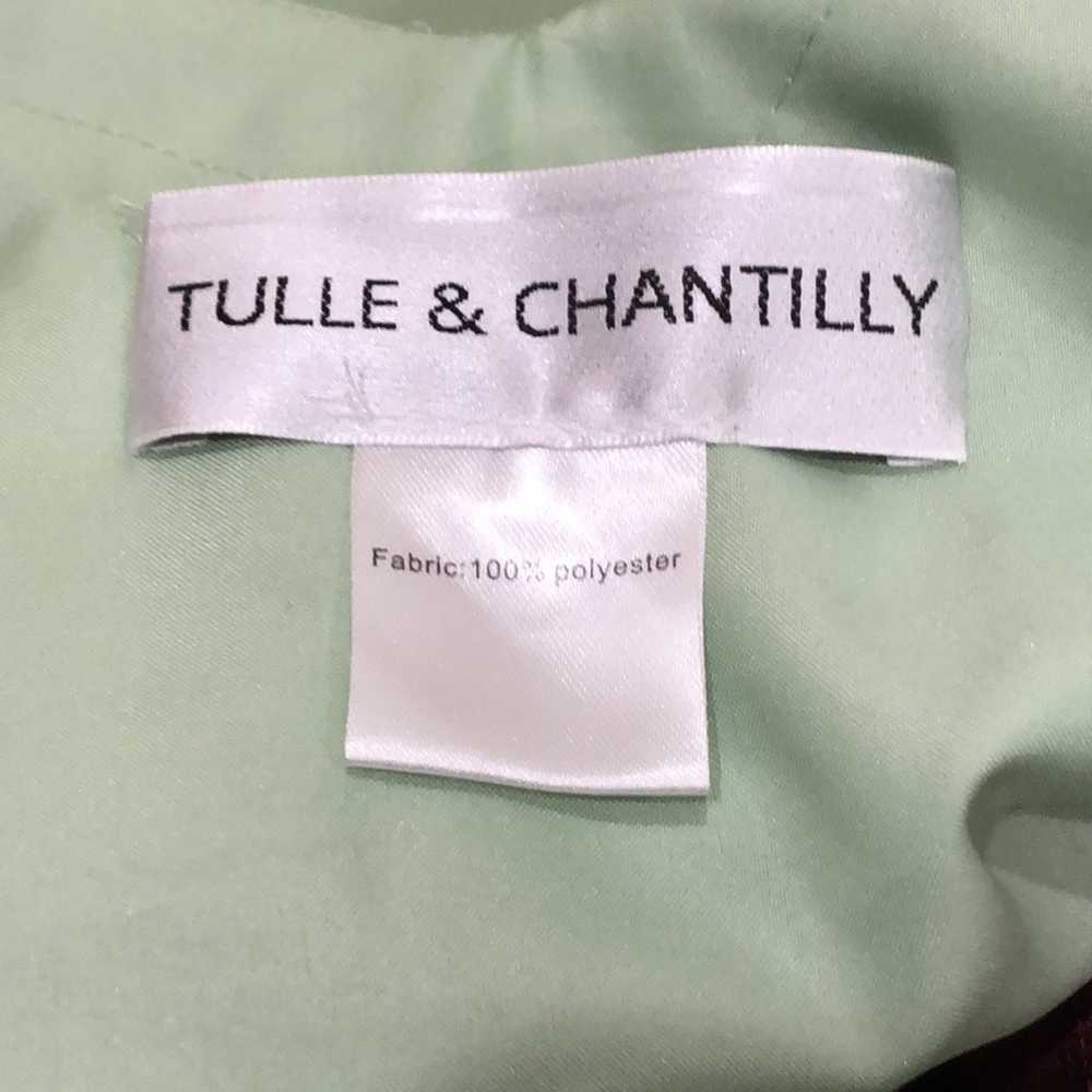 Tulle & Chantilly Wrap Maxi Dress Size 6 Pastel M… - image 7