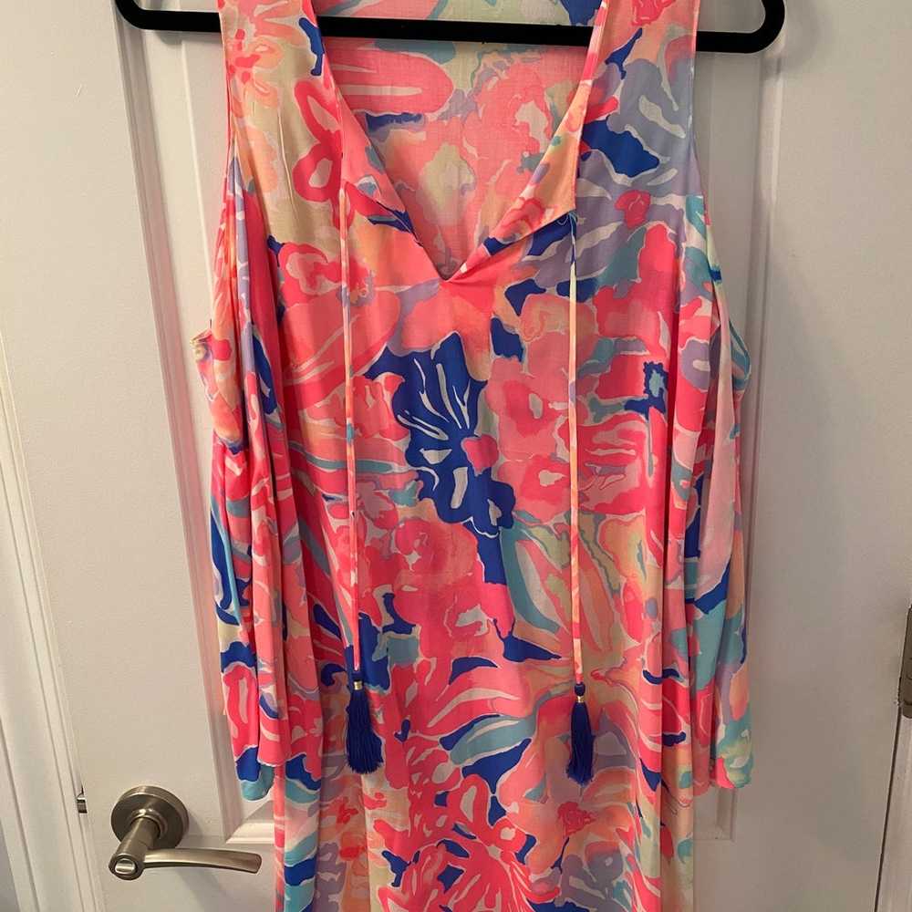 Lilly Pulitzer dress - image 4