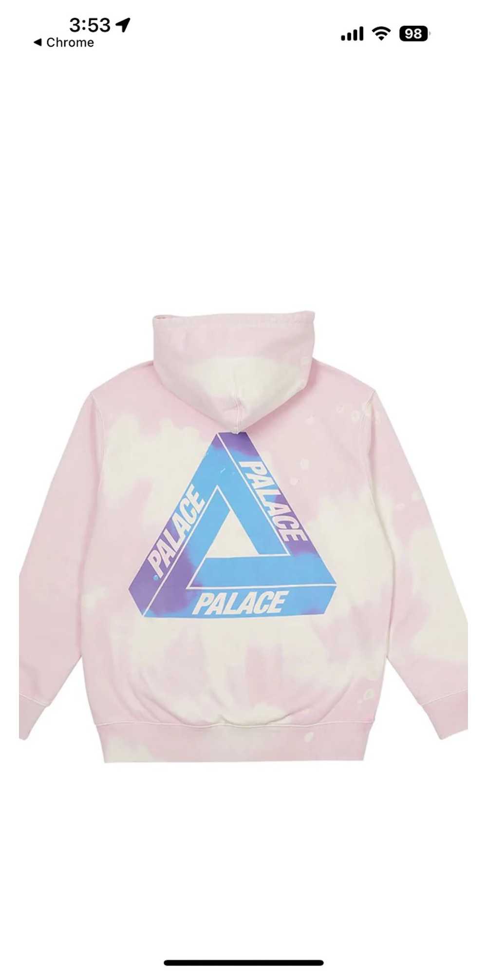 Palace Palace area to Tri Ferg Hoodie - image 4