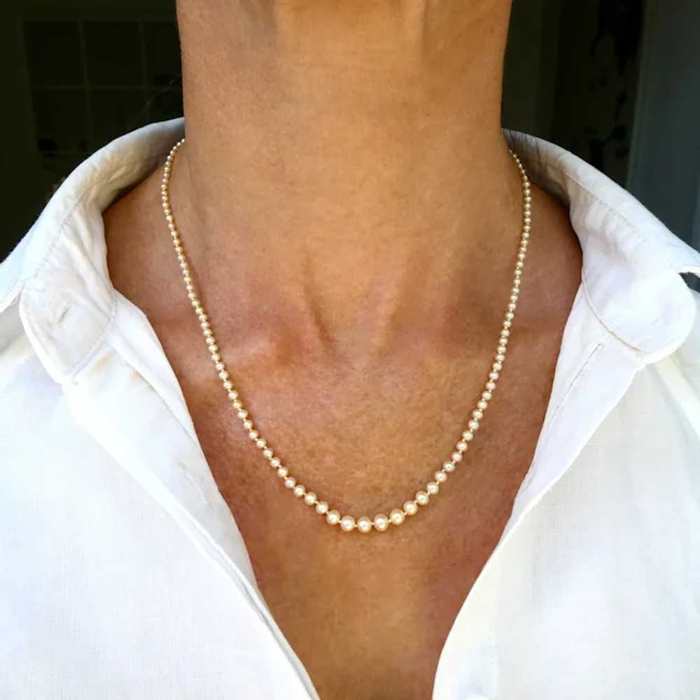 Antique Edwardian Certified Natural Pearl Necklac… - image 10