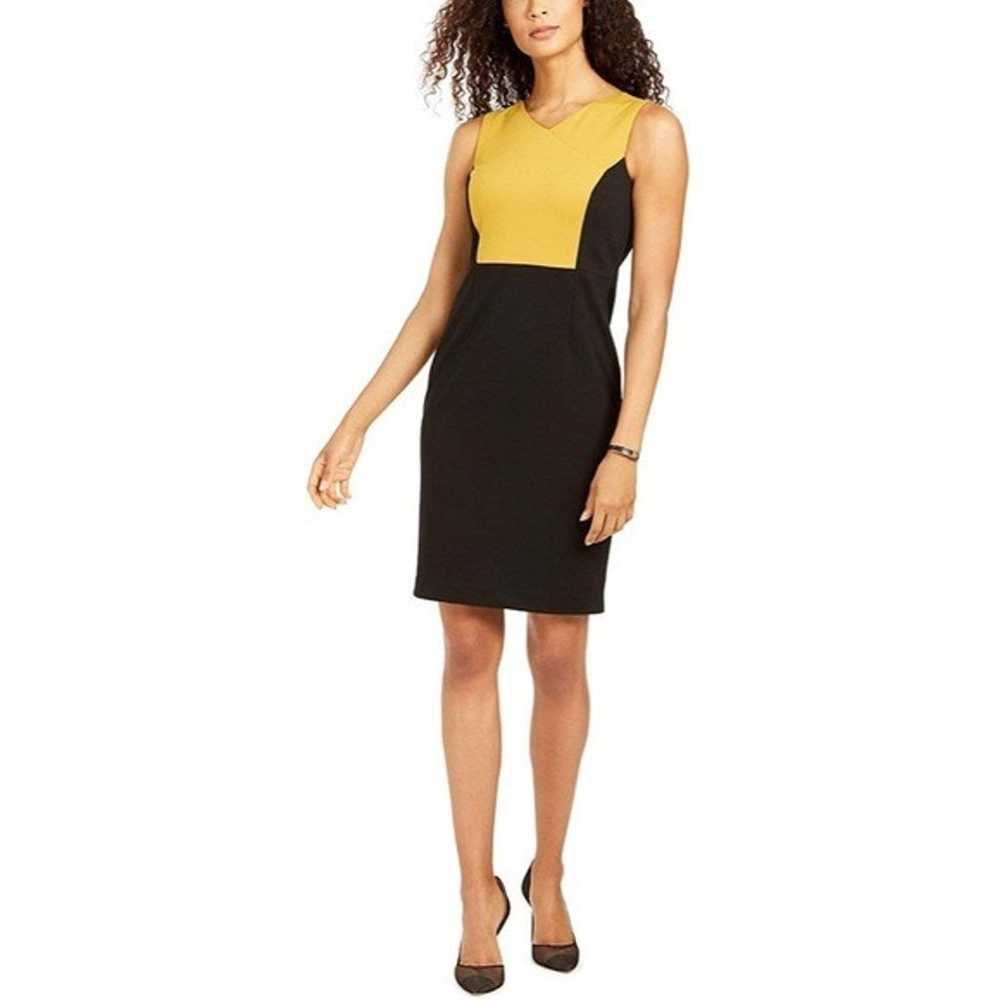 Kasper Plus Size Color-block Sheath Dress - image 1