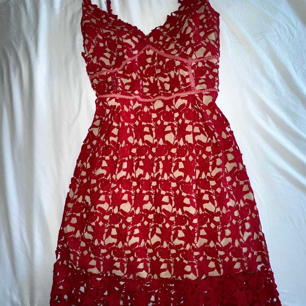 City Chic Scarlet So Fancy tea length lace red dr… - image 3