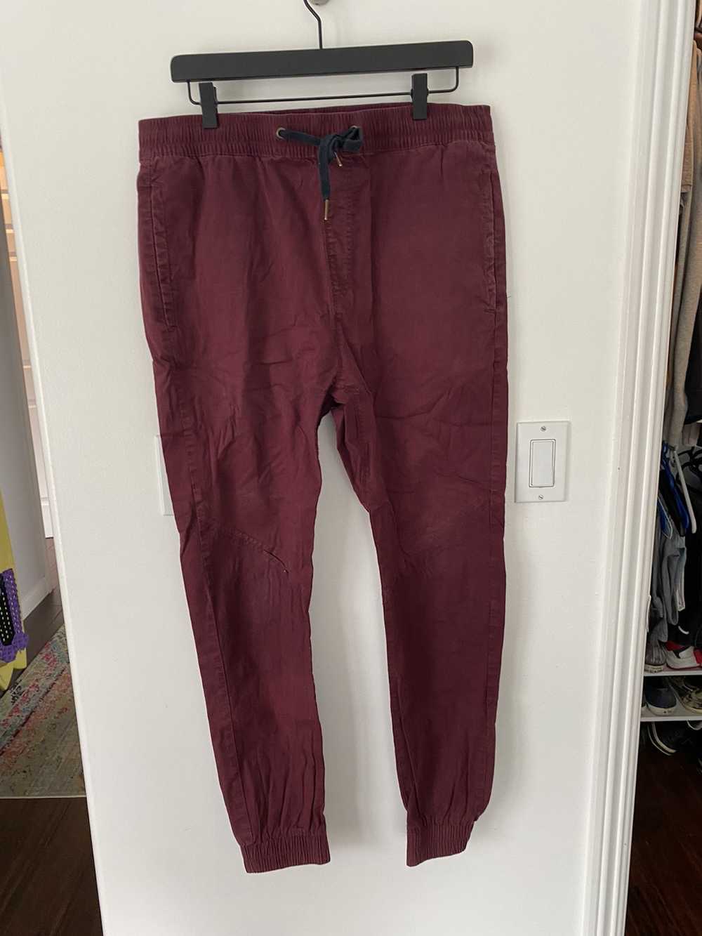 Zanerobe Zanerobe jogger pants - image 1