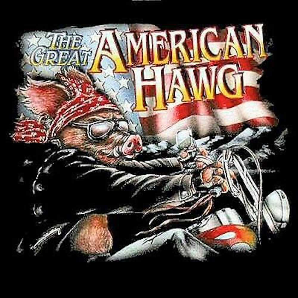 Harley Davidson × Vintage The Great American HAWG - image 2