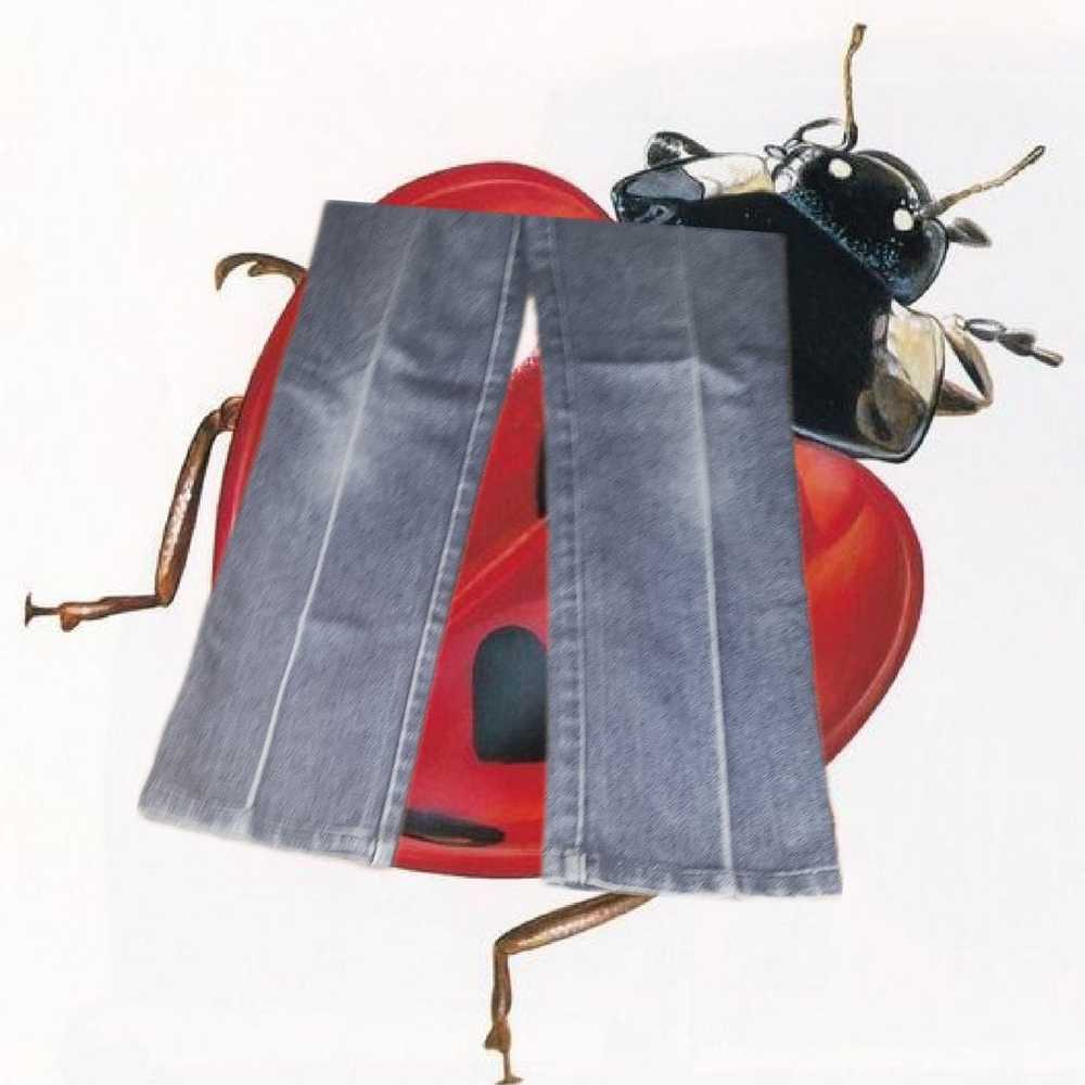 Braxton jeans - image 5