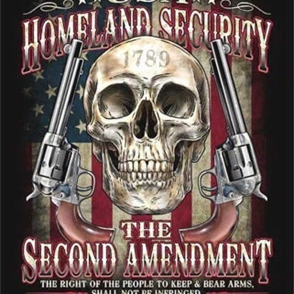 USA Homeland Security The Second Amendment The Ri… - image 5