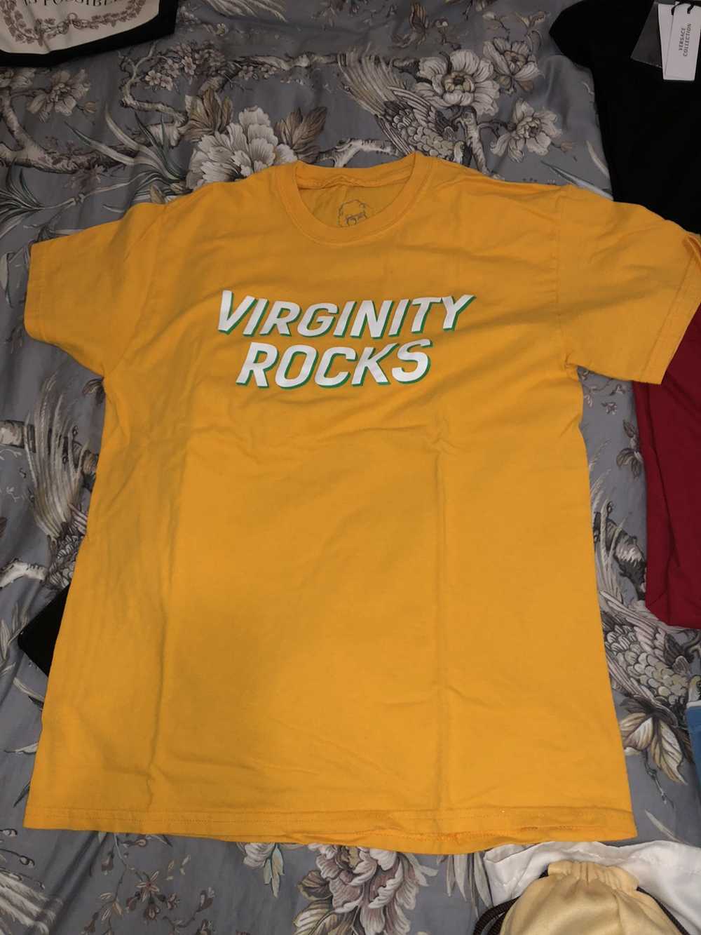 Vintage Virginity Rocks Danny Duncan Vintage Merch - image 1