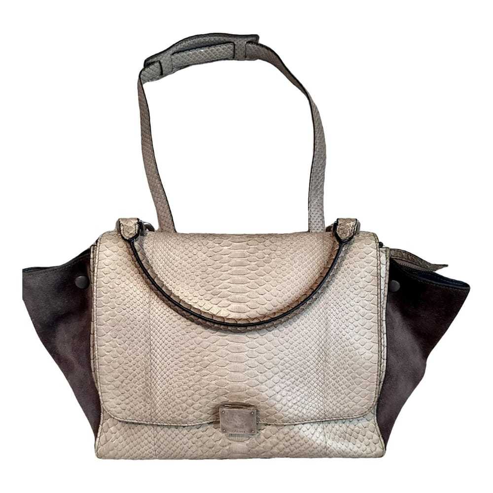 Celine Trapèze python handbag - image 1