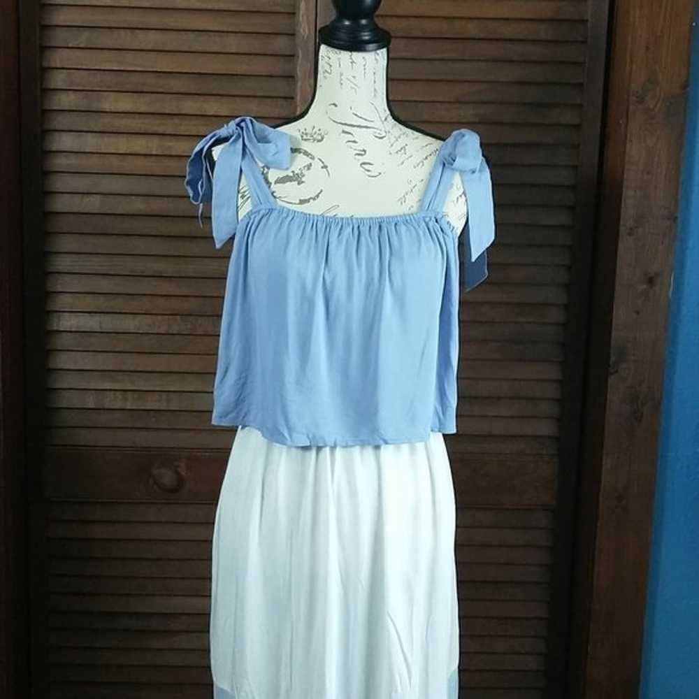 Blue and White Maxi Dress - image 1