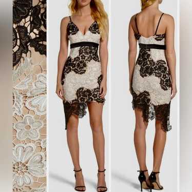 Bardot Eve Lace Sheath Dress