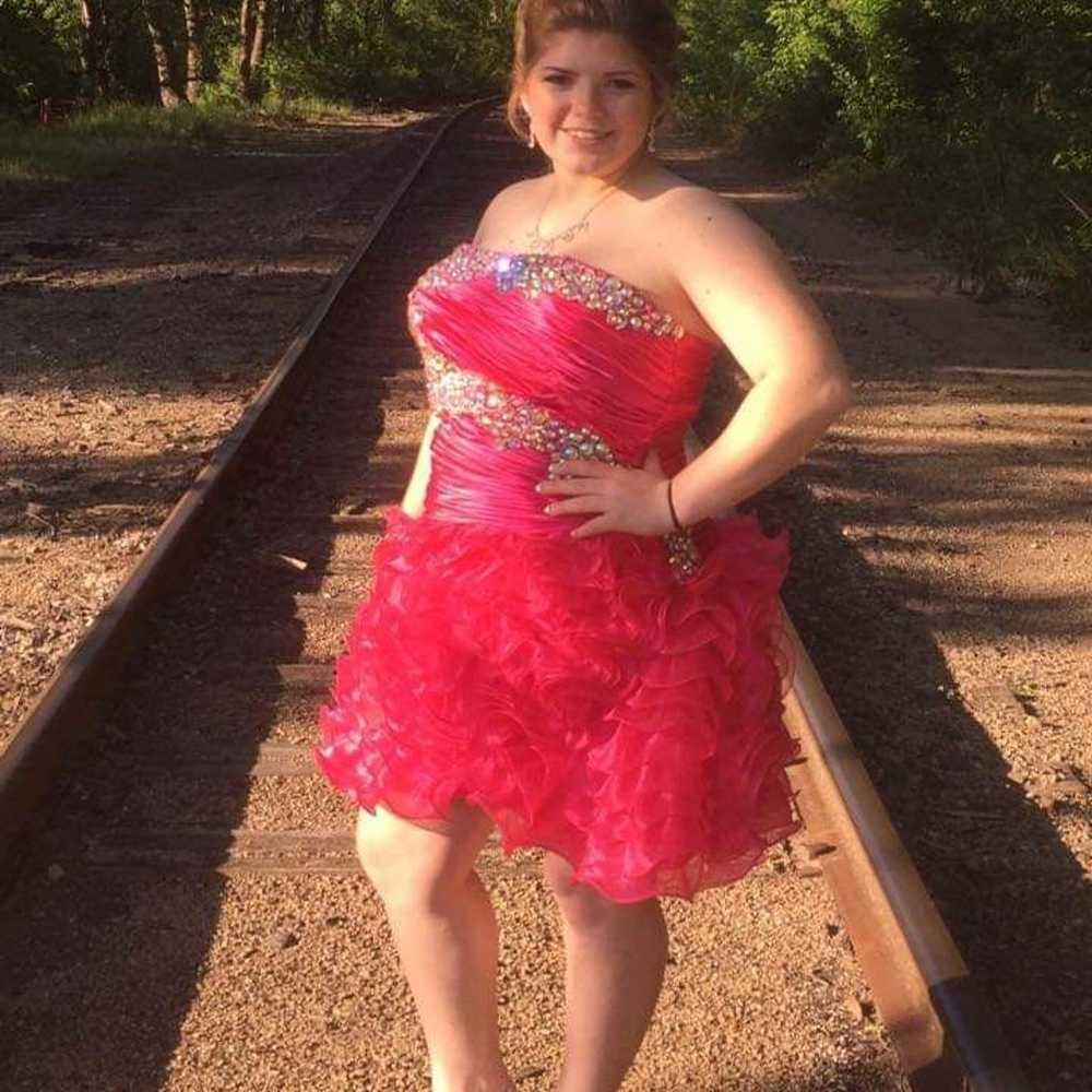 prom dress size 16 - image 1