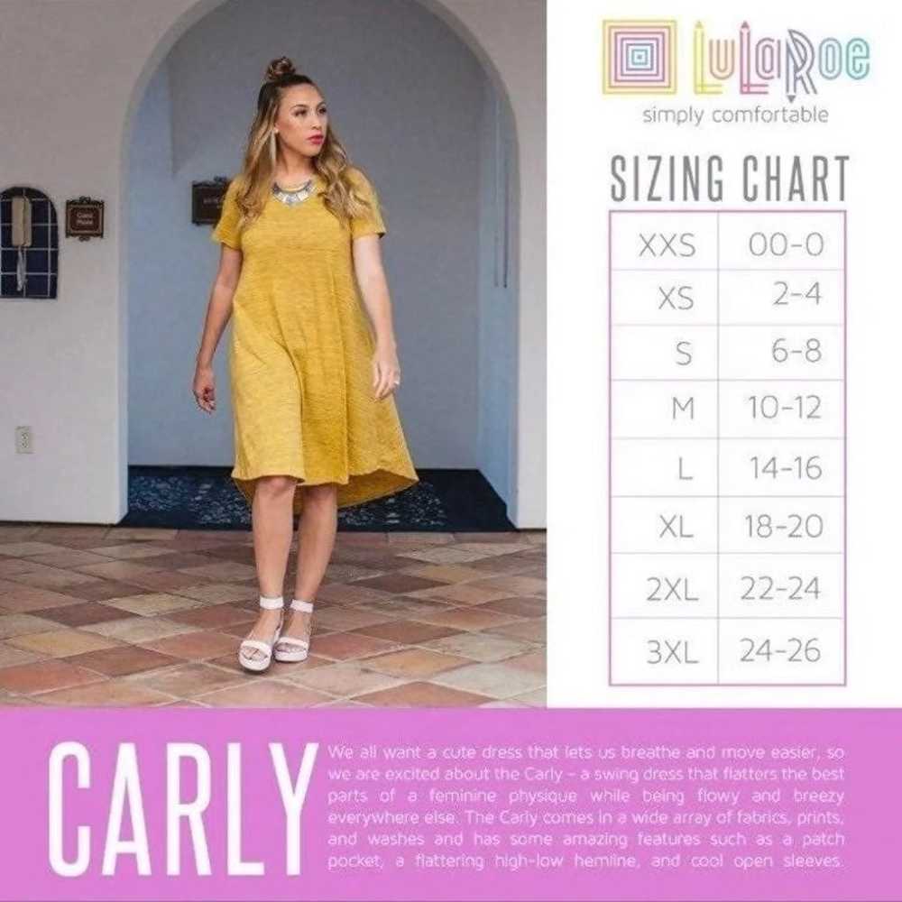 Lularoe Carly Dress Gold Gray 2X Elegant 22/24 20… - image 8