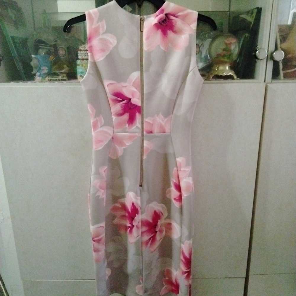 Calvin Klein beige/pink floral sheath dress Size 0 - image 2