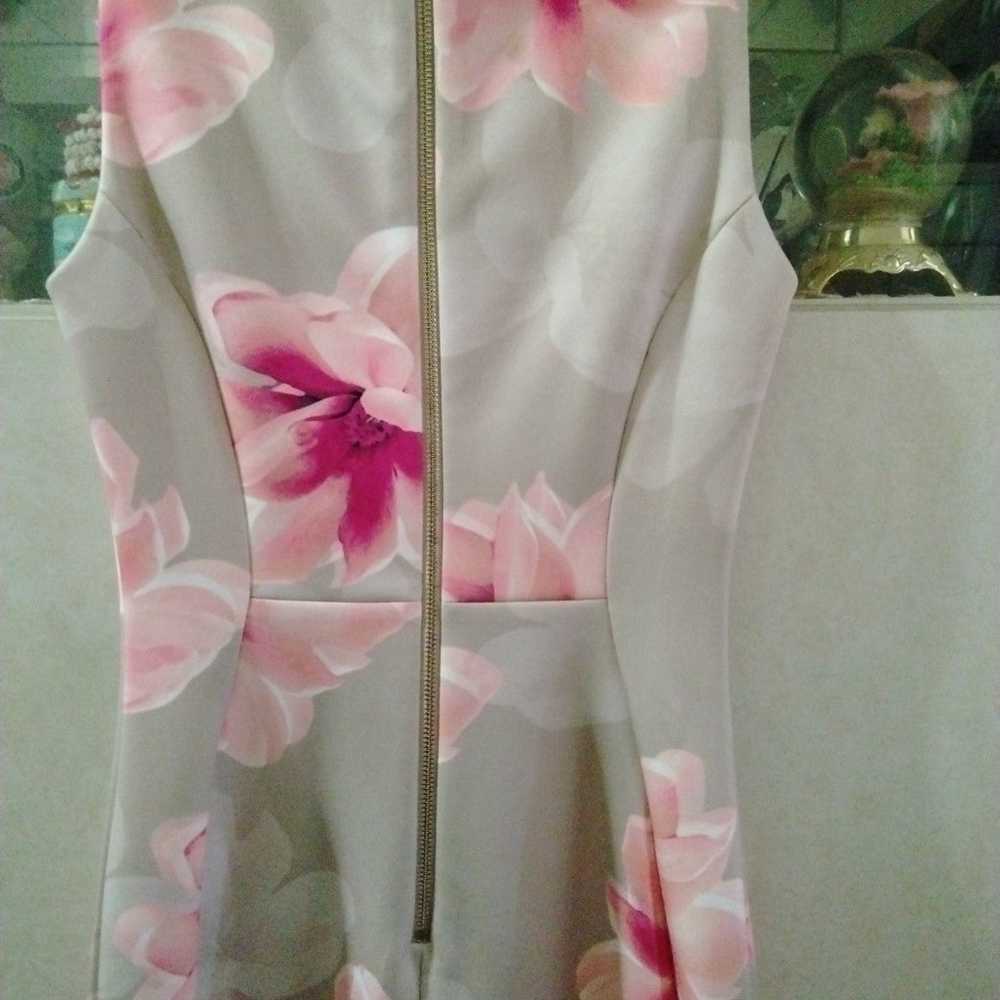 Calvin Klein beige/pink floral sheath dress Size 0 - image 3