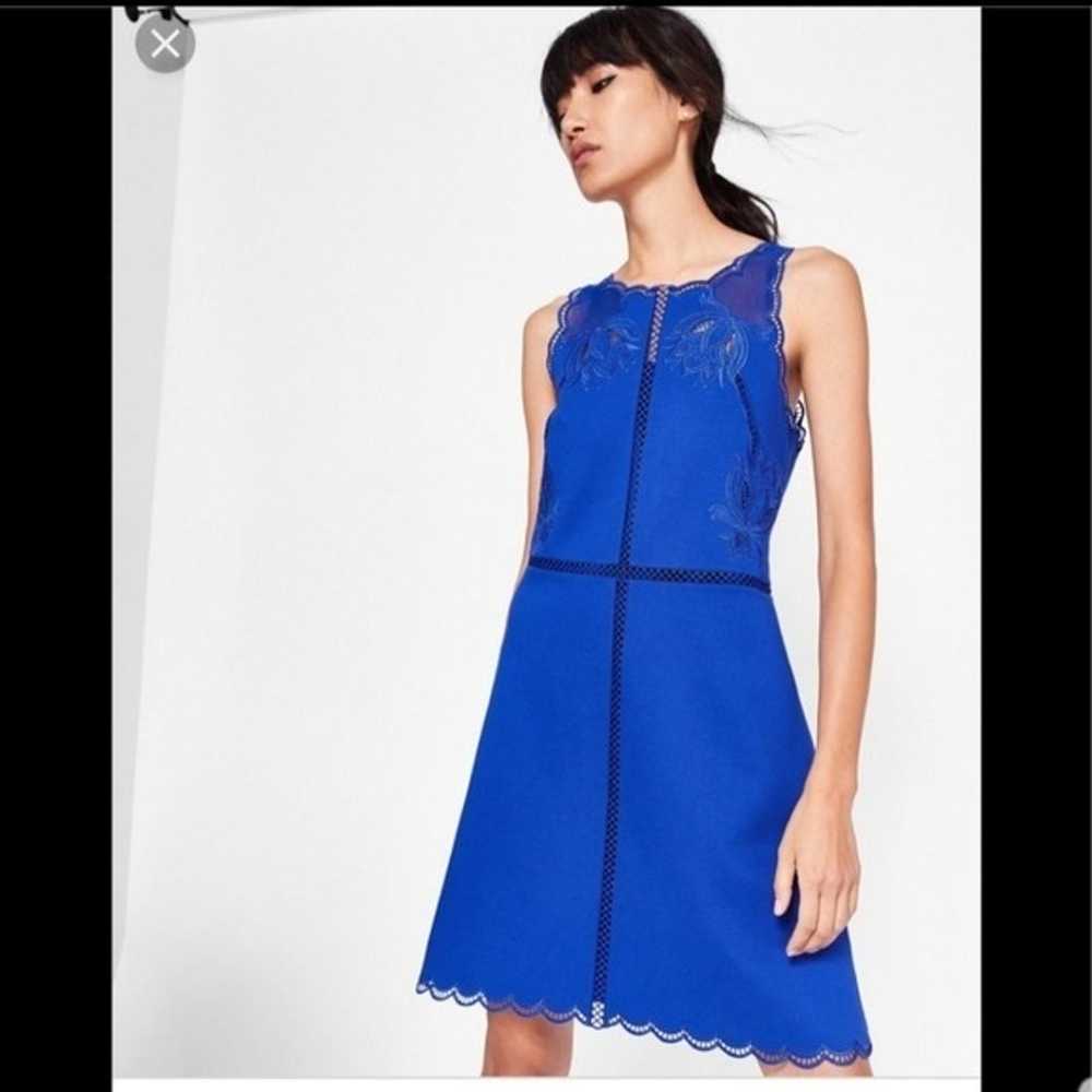 NWT Ted Baker embroidered scallop hem dress size … - image 3