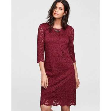 Garnet Hill Three-Quarter-Sleeve Lace Dress Size … - image 1