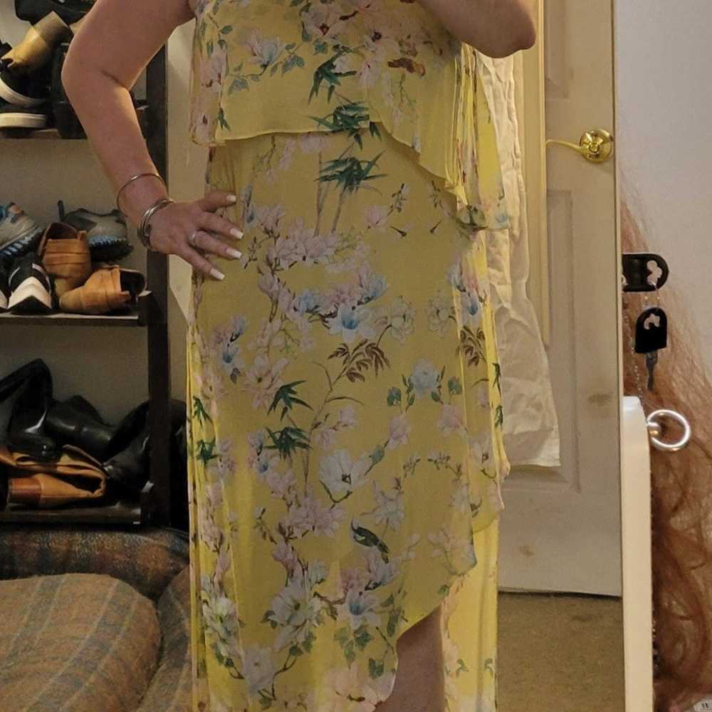 Slate and Willow maxi dress - image 4