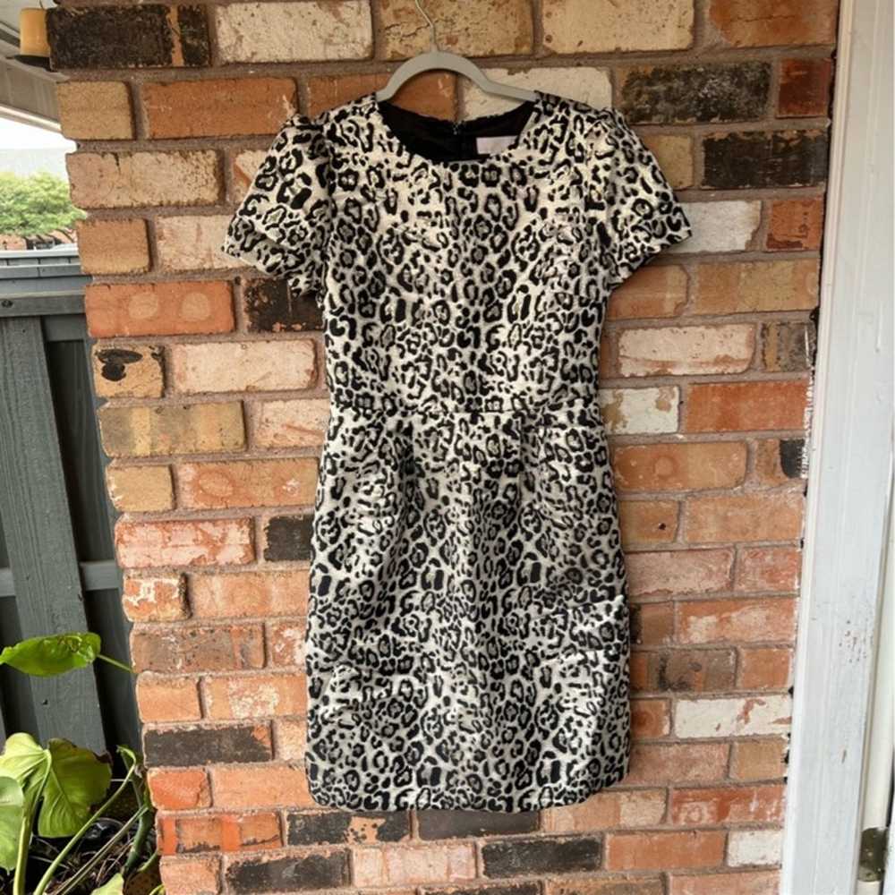 Rachel Parcell Leopard Print Knee Length Dress si… - image 10