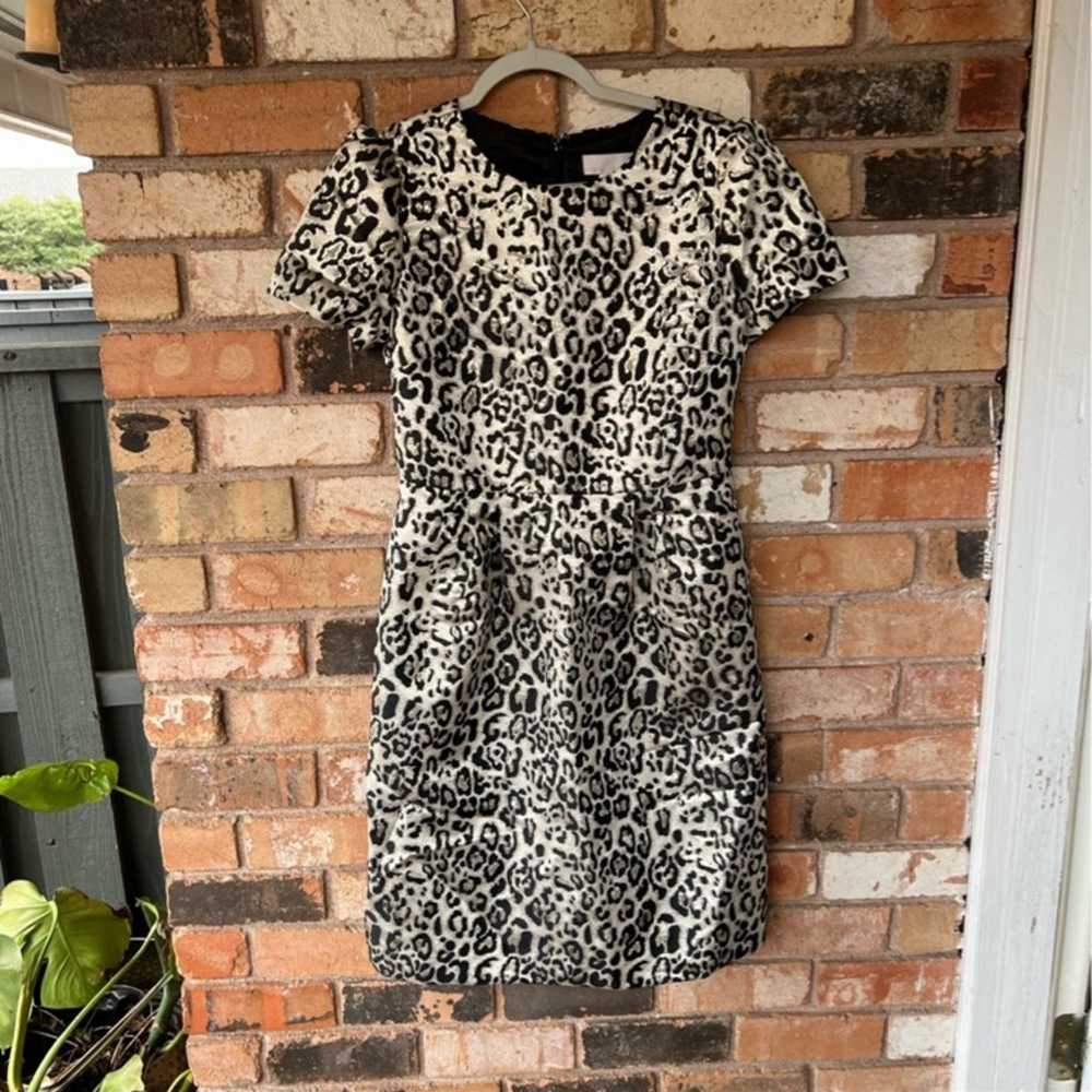 Rachel Parcell Leopard Print Knee Length Dress si… - image 5