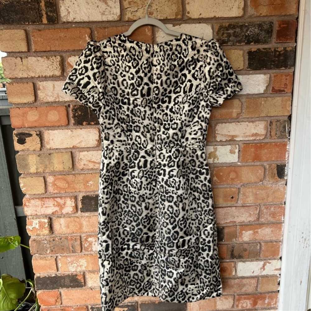 Rachel Parcell Leopard Print Knee Length Dress si… - image 9