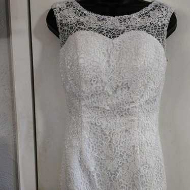 Size 6 or 8: Hebo's Lace Mini Dress - image 1